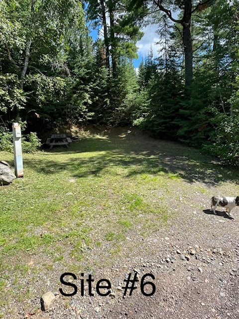 Off Lake RV Site #6